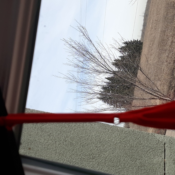 BN LPA wrap around red dress - Picture 10 of 15